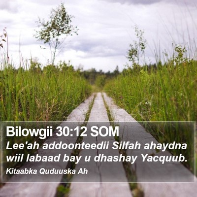 Bilowgii 30:12 SOM Bible Verse Image