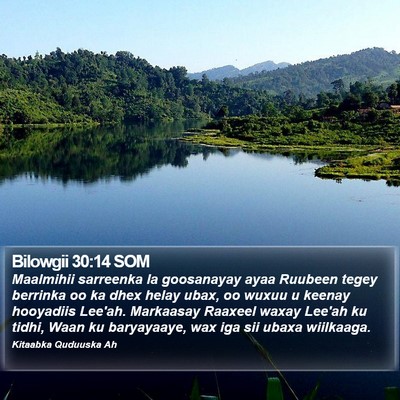 Bilowgii 30:14 SOM Bible Verse Image