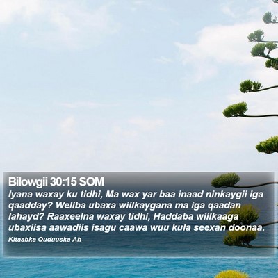 Bilowgii 30:15 SOM Bible Verse Image