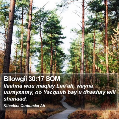 Bilowgii 30:17 SOM Bible Verse Image