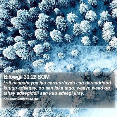 Bilowgii 30:26 SOM Bible Verse Image