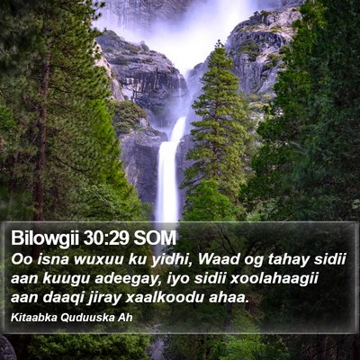 Bilowgii 30:29 SOM Bible Verse Image