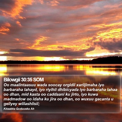 Bilowgii 30:35 SOM Bible Verse Image