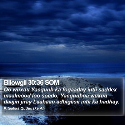 Bilowgii 30:36 SOM Bible Verse Image