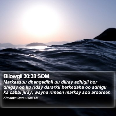 Bilowgii 30:38 SOM Bible Verse Image