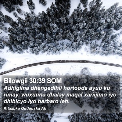 Bilowgii 30:39 SOM Bible Verse Image