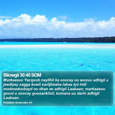 Bilowgii 30:40 SOM Bible Verse Image