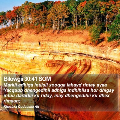 Bilowgii 30:41 SOM Bible Verse Image