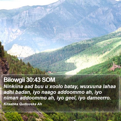 Bilowgii 30:43 SOM Bible Verse Image