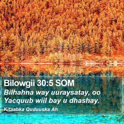 Bilowgii 30:5 SOM Bible Verse Image