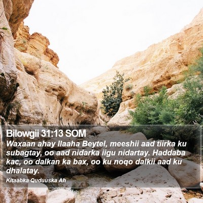 Bilowgii 31:13 SOM Bible Verse Image