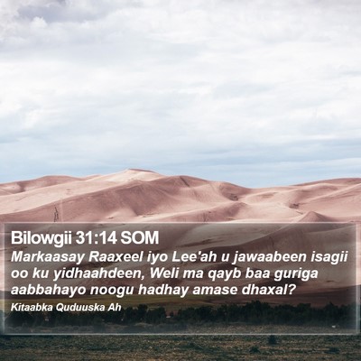 Bilowgii 31:14 SOM Bible Verse Image