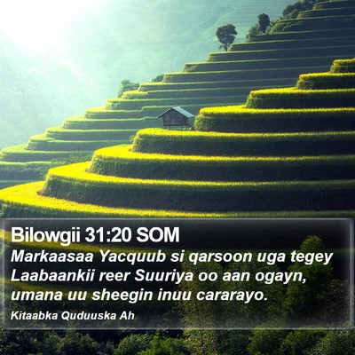 Bilowgii 31:20 SOM Bible Verse Image