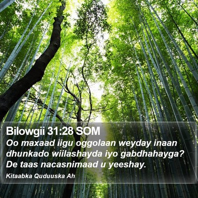 Bilowgii 31:28 SOM Bible Verse Image