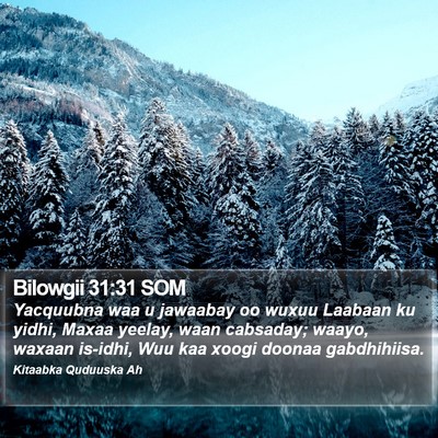 Bilowgii 31:31 SOM Bible Verse Image