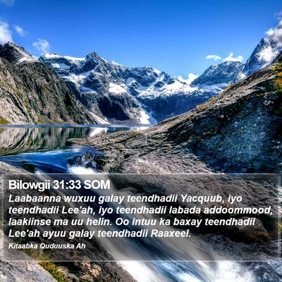 Bilowgii 31:33 SOM Bible Verse Image