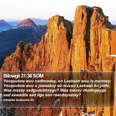 Bilowgii 31:36 SOM Bible Verse Image