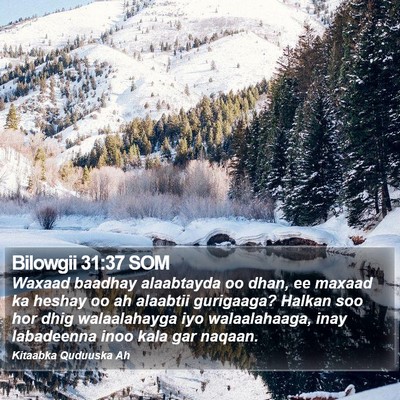 Bilowgii 31:37 SOM Bible Verse Image
