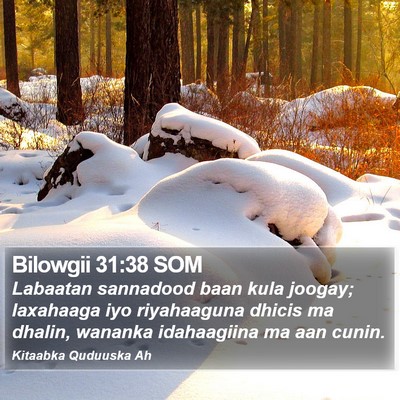 Bilowgii 31:38 SOM Bible Verse Image