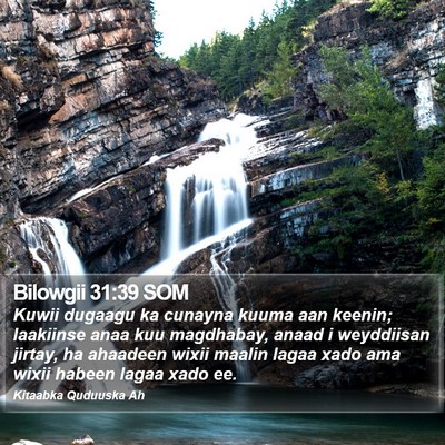 Bilowgii 31:39 SOM Bible Verse Image