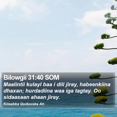 Bilowgii 31:40 SOM Bible Verse Image