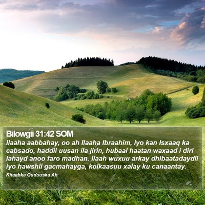 Bilowgii 31:42 SOM Bible Verse Image