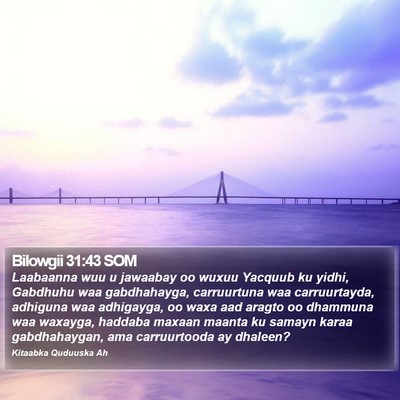 Bilowgii 31:43 SOM Bible Verse Image