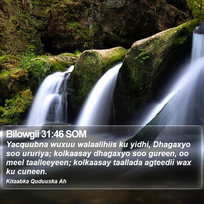 Bilowgii 31:46 SOM Bible Verse Image