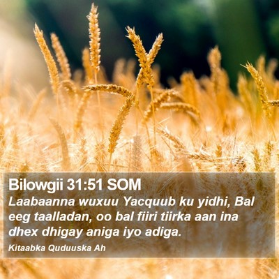 Bilowgii 31:51 SOM Bible Verse Image