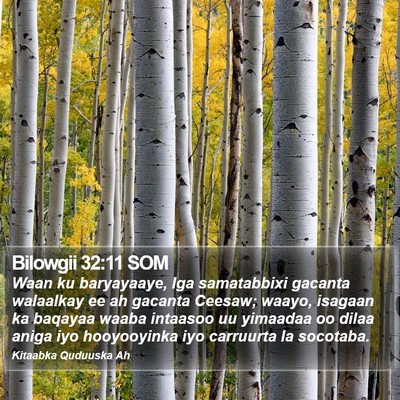 Bilowgii 32:11 SOM Bible Verse Image