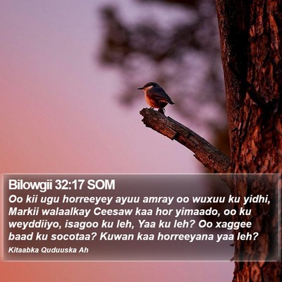 Bilowgii 32:17 SOM Bible Verse Image