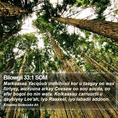Bilowgii 33:1 SOM Bible Verse Image