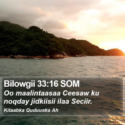 Bilowgii 33:16 SOM Bible Verse Image