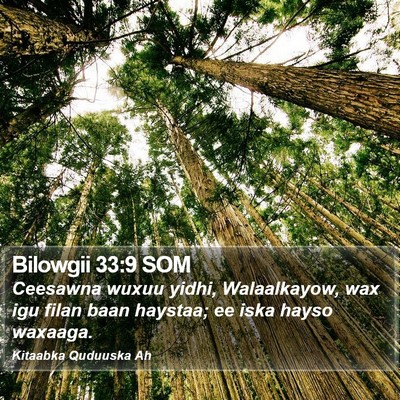 Bilowgii 33:9 SOM Bible Verse Image