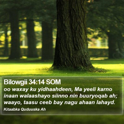 Bilowgii 34:14 SOM Bible Verse Image