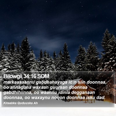 Bilowgii 34:16 SOM Bible Verse Image