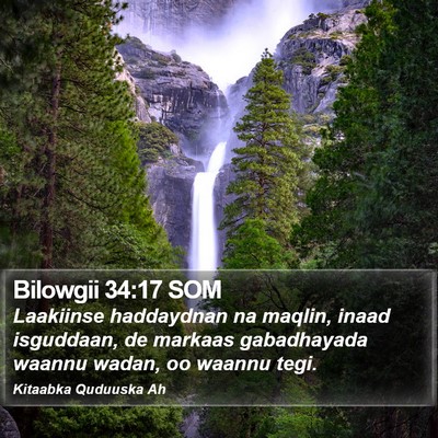 Bilowgii 34:17 SOM Bible Verse Image