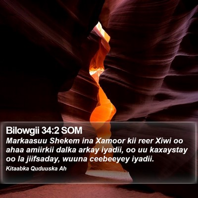 Bilowgii 34:2 SOM Bible Verse Image