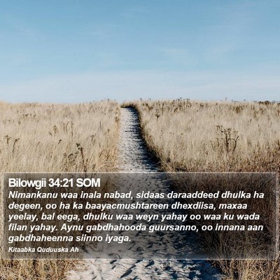 Bilowgii 34:21 SOM Bible Verse Image