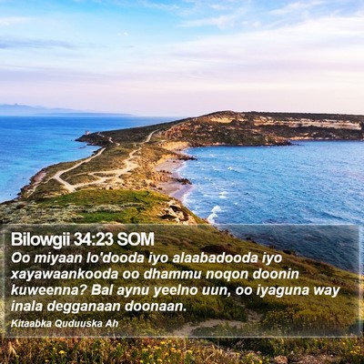 Bilowgii 34:23 SOM Bible Verse Image