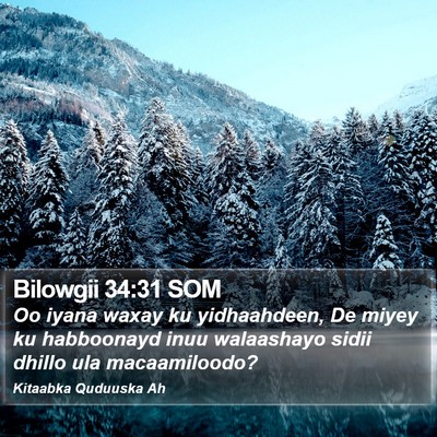 Bilowgii 34:31 SOM Bible Verse Image