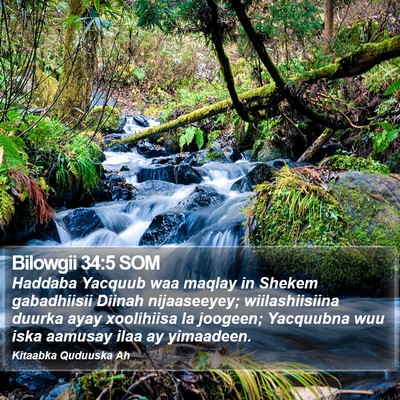Bilowgii 34:5 SOM Bible Verse Image