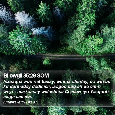 Bilowgii 35:29 SOM Bible Verse Image