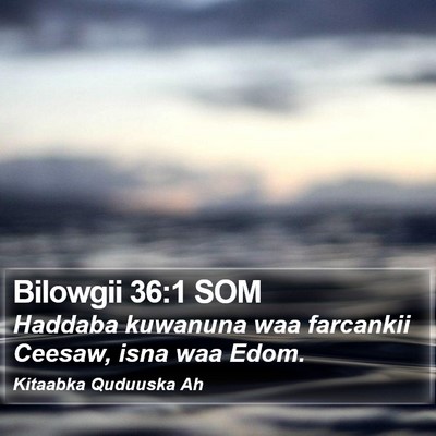 Bilowgii 36:1 SOM Bible Verse Image