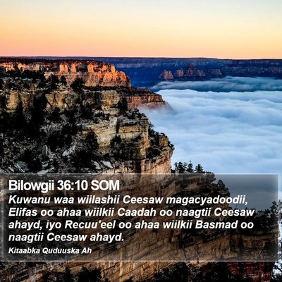 Bilowgii 36:10 SOM Bible Verse Image