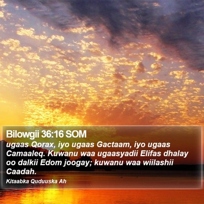 Bilowgii 36:16 SOM Bible Verse Image
