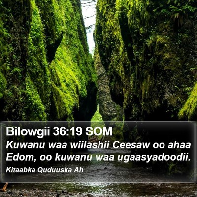 Bilowgii 36:19 SOM Bible Verse Image