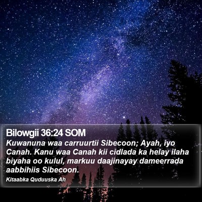 Bilowgii 36:24 SOM Bible Verse Image