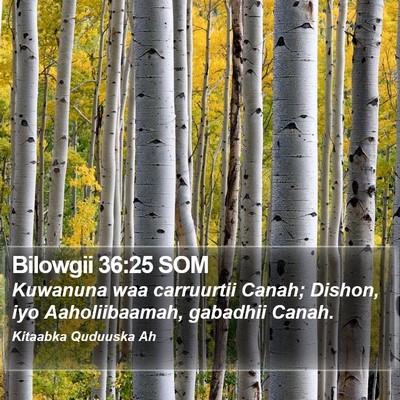 Bilowgii 36:25 SOM Bible Verse Image