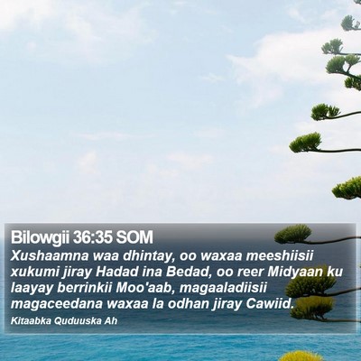 Bilowgii 36:35 SOM Bible Verse Image